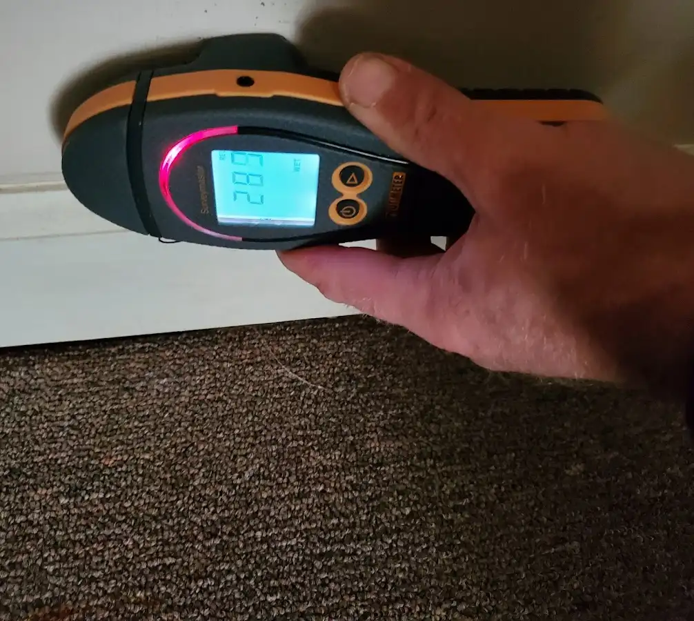 Moisture detection at baseboard during Sewage Cleanup & Sanitation in Matthews